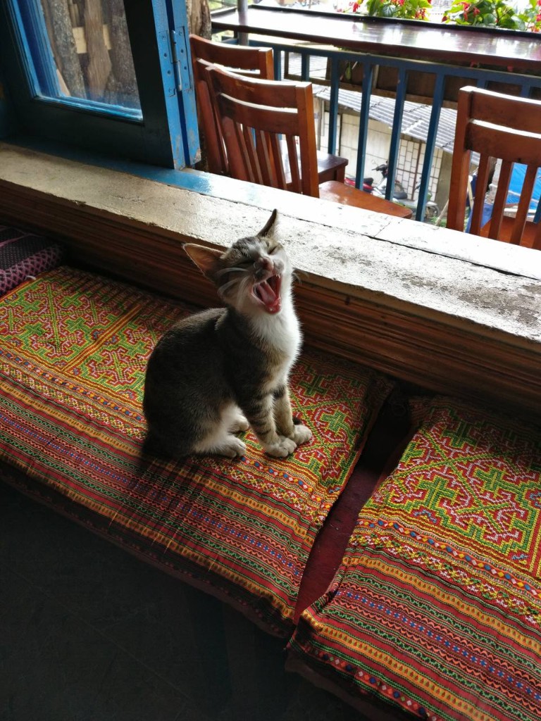 Foto