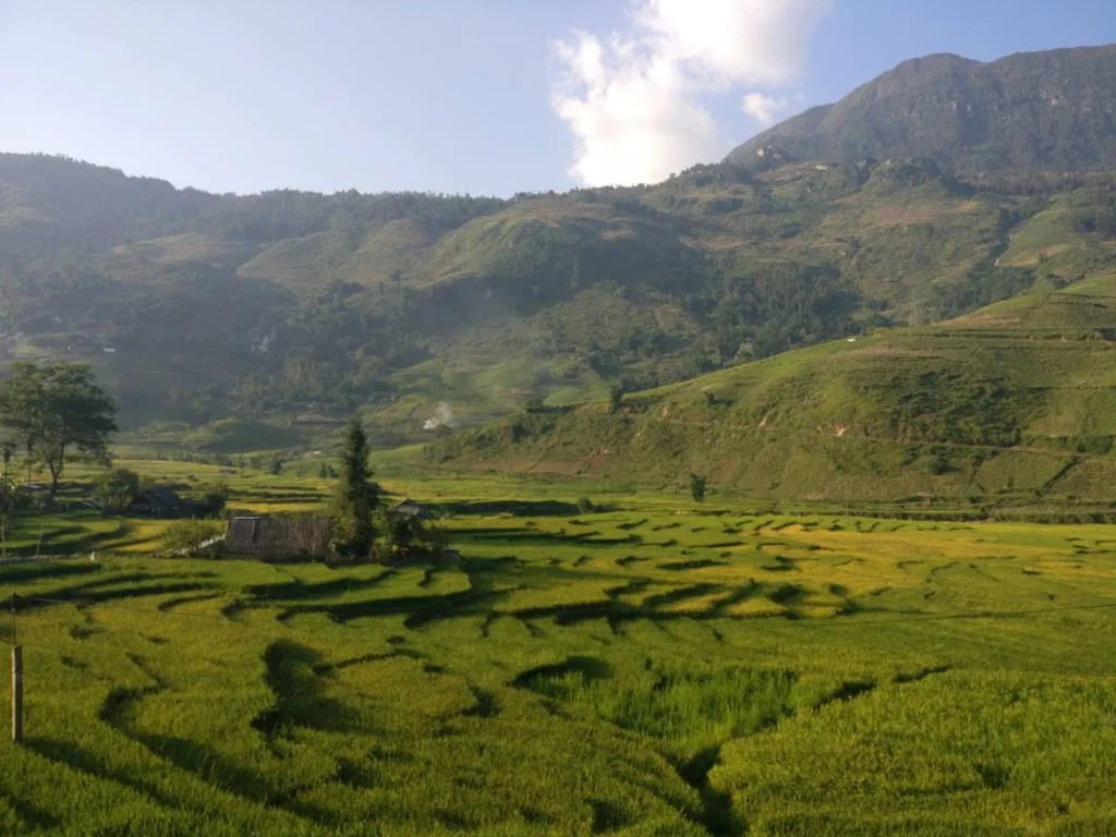 Foto