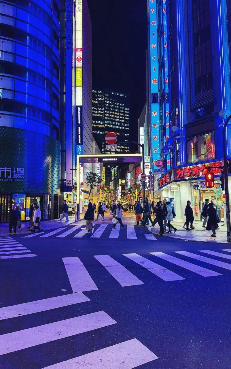 Shinjuku (新宿)